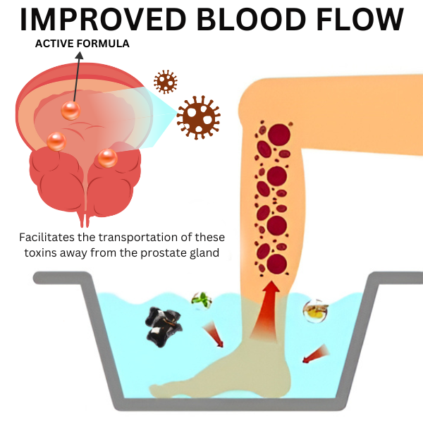 WellnessHub™ Prostate Care Foot Soak