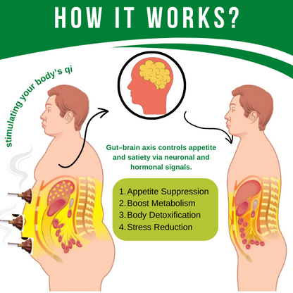 Detoxification and Slimming Burning Column